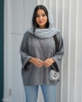 فیلی